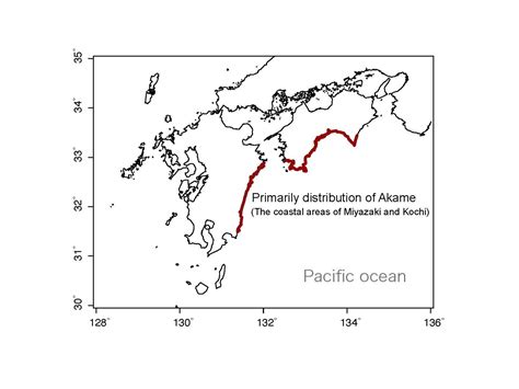 akame fish|Assistant Professor MISHINA Tappei and his research group .